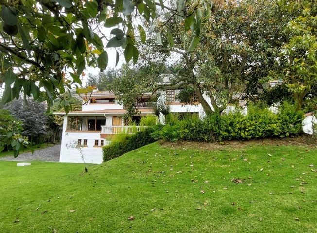 place photo 48