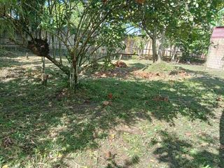 Foto 17 de REMATO dos Terrenos en la Comunidad de Quistococha frente a la Posta Medica