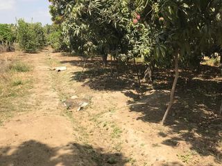 Foto 4 de TERRENO EN CIENEGUILLO SUR A PRECIO IRRESISTIBLE, PIURA