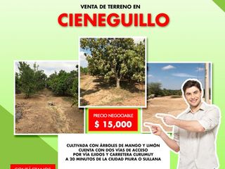 Foto 8 de TERRENO EN CIENEGUILLO SUR A PRECIO IRRESISTIBLE, PIURA