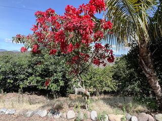 Foto 10 de Se vende casa con terreno en el Parroquia El Tambo -Catamayo