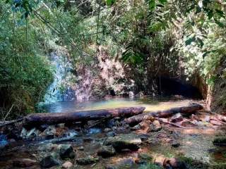 Finca de descanso Circasia