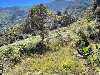 VENDEMOS FINCA LA SECRETA