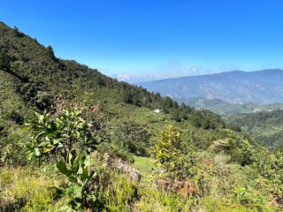 VENDEMOS FINCA LA SECRETA