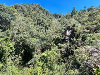 VENDEMOS FINCA LA SECRETA