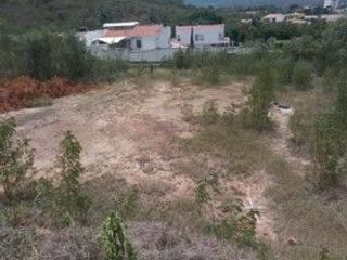 Foto 6 de VENDEMOS LOTE