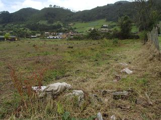 Foto 1 de LOTE EXCELENTE OPORTUNIDAD