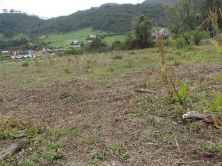 Foto 6 de LOTE EXCELENTE OPORTUNIDAD