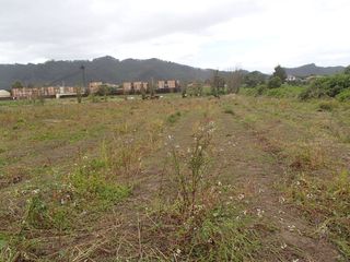 Foto 9 de Excelente Lote