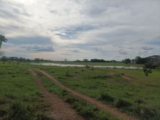 Foto 1 de Venta de Finca ganadera en Ayapel