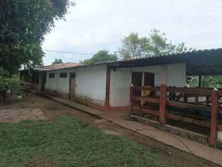 Foto 3 de Venta de Finca ganadera en Ayapel