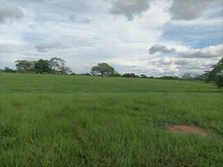 Venta de Finca ganadera en Ayapel