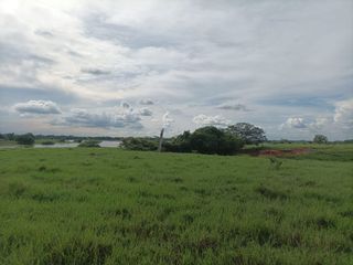 Foto 6 de Venta de Finca ganadera en Ayapel