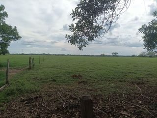 Foto 9 de Venta de Finca ganadera en Ayapel