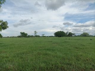 Venta de Finca ganadera en Ayapel