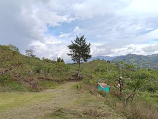 Venta de finca en el Peñol vereda el Salto