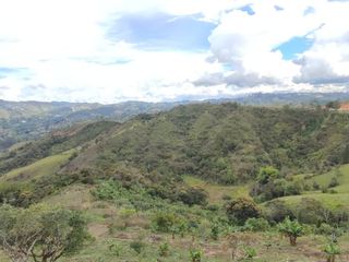 Venta de finca en el Peñol vereda el Salto