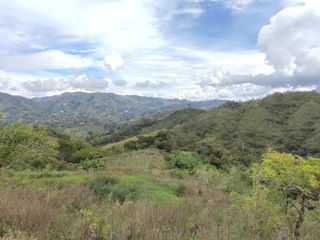 Venta de finca en el Peñol vereda el Salto