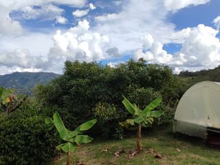 Venta de finca en el Peñol vereda el Salto