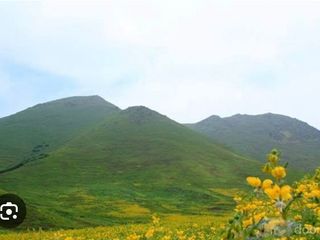 Foto 4 de TERRENO en VENTA en PACHACAMAC