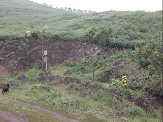 Foto 5 de TERRENO en VENTA en PACHACAMAC