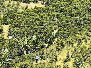 Venta de finca en Urrao Vereda La Cartagena