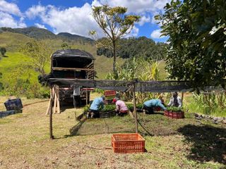 Venta de finca en Urrao Vereda La Cartagena