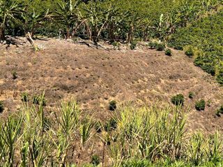 Venta de finca en Urrao Vereda La Cartagena