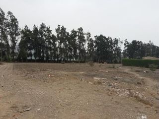 Foto 2 de TERRENO en VENTA en PACHACAMAC
