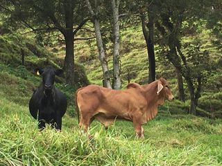 Venta de Finca en Barbosa Antioquia