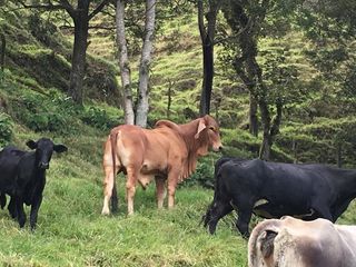 Venta de Finca en Barbosa Antioquia