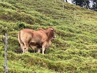 Venta de Finca en Barbosa Antioquia