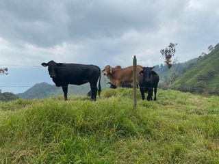 Venta de Finca en Barbosa Antioquia