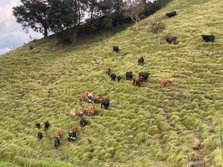 Venta de Finca en Barbosa Antioquia