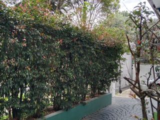 Foto 22 de ARRIENDO CASA TEUSAQUILLO BOGOTA