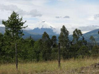 VENTA TERRENO VALLE DE LOS CHILLOS SECTOR LA MERCED