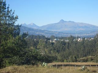 VENTA TERRENO VALLE DE LOS CHILLOS SECTOR LA MERCED