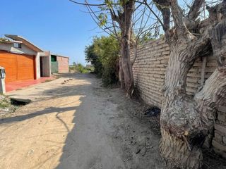 Foto 1 de Alquiler o venta de terreno en Chincha Alta