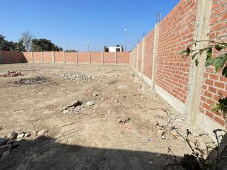 Foto 7 de Alquiler o venta de terreno en Chincha Alta