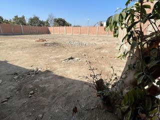 Foto 8 de Alquiler o venta de terreno en Chincha Alta