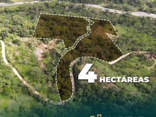 Finca de 4 hectáreas ideal para un proyecto turístico✨