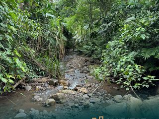 Finca de 4 hectáreas ideal para un proyecto turístico✨