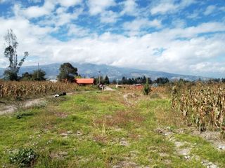 Foto 1 de TERRENO EN ARRIENDO EN TABACUNDO