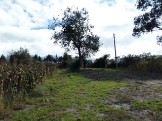 Foto 5 de TERRENO EN ARRIENDO EN TABACUNDO