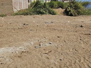 Foto 5 de Moche terreno urbano 200m2 REMATE!!