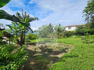 Venta de Finca en Barbosa Antioquia Vereda Graciano