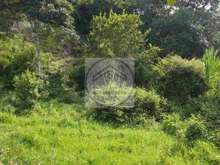 Venta de Finca en Barbosa Antioquia Vereda Graciano