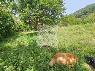 Venta de Finca en Barbosa Antioquia Vereda Graciano