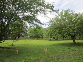 Foto 5 de TERRENO RURAL - 25000 M2 - UBIC.: VILLAVICENCIO