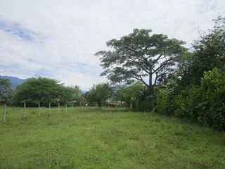 Foto 6 de TERRENO RURAL - 25000 M2 - UBIC.: VILLAVICENCIO